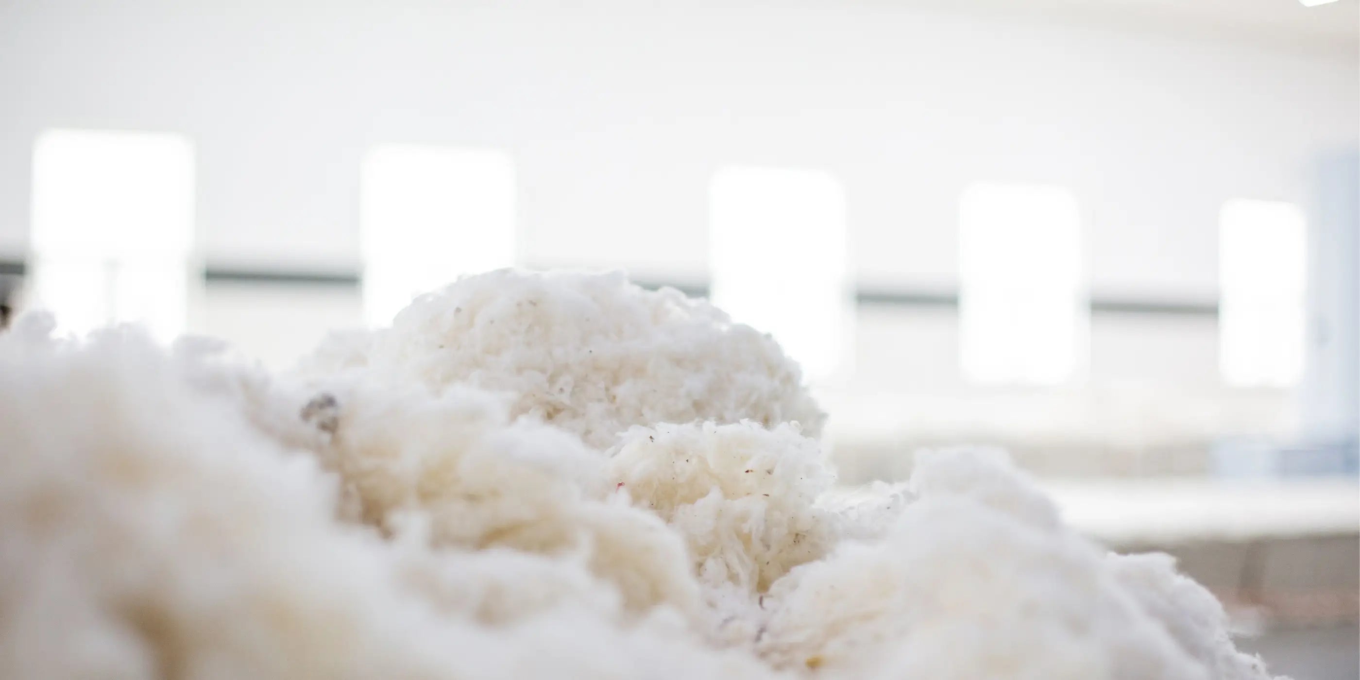 Flocons de coton recyclé prêts à être transformés en fibres textiles