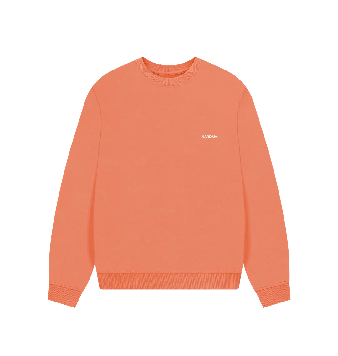 pull oversize terracotta clair KARDAIA en coton bio présenté à plat
